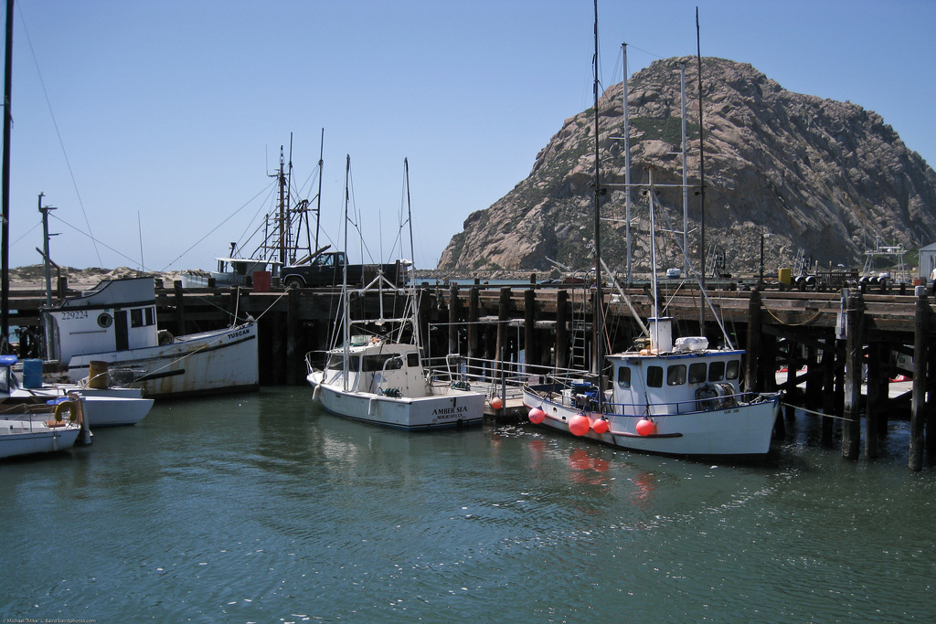 Fishing Boats at the North T-Pier in Morro Bay, CA