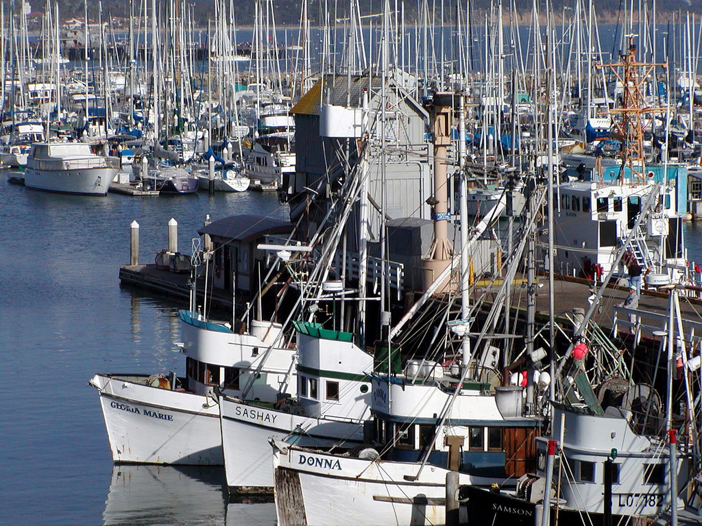 Fishing boats in a harbor