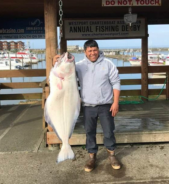 A man proudly holds up a halibut he caught