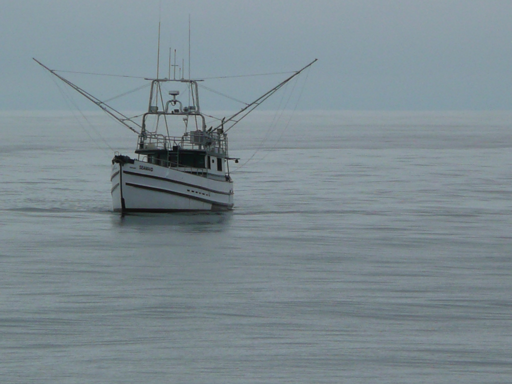 A salmon troller out at sea