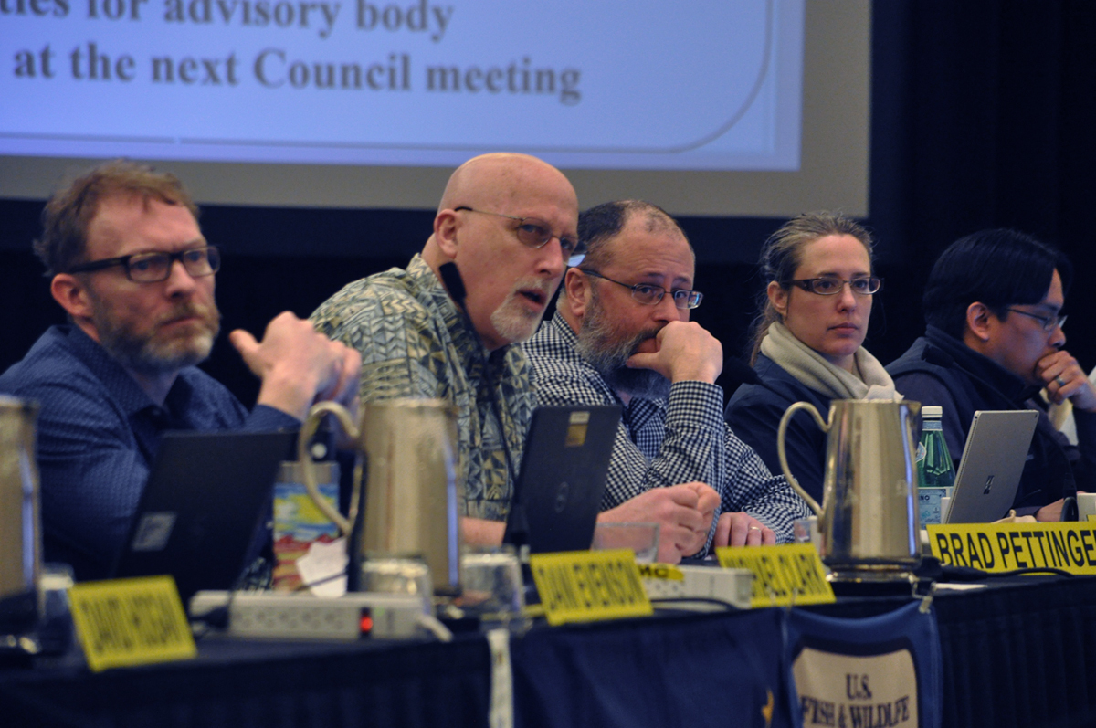 Three men and a woman, with name plates in front of them, sit at the Council table