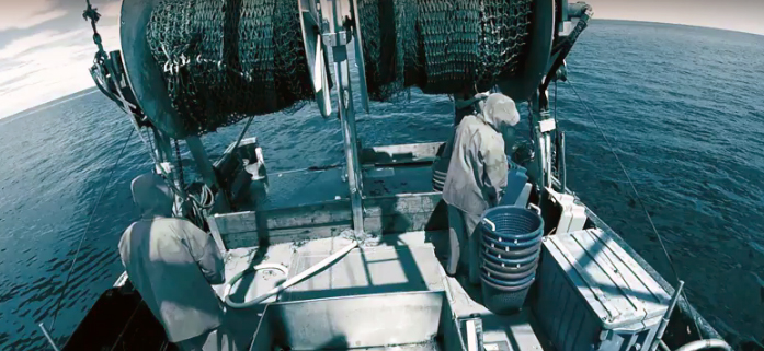 Image from an electronic monitoring system showing crew members aboard a trawl vessel