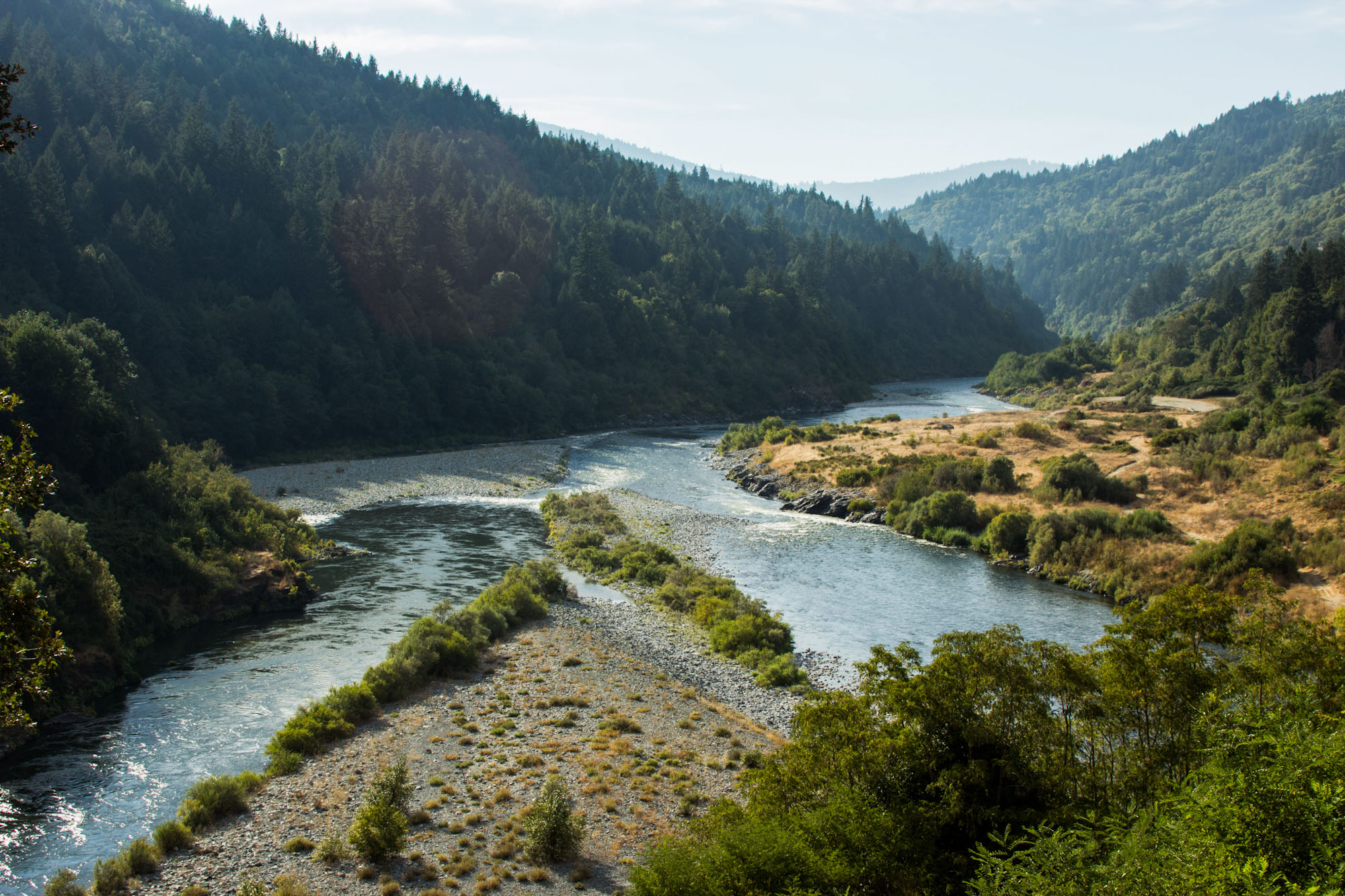 Two rivers come together in a forest