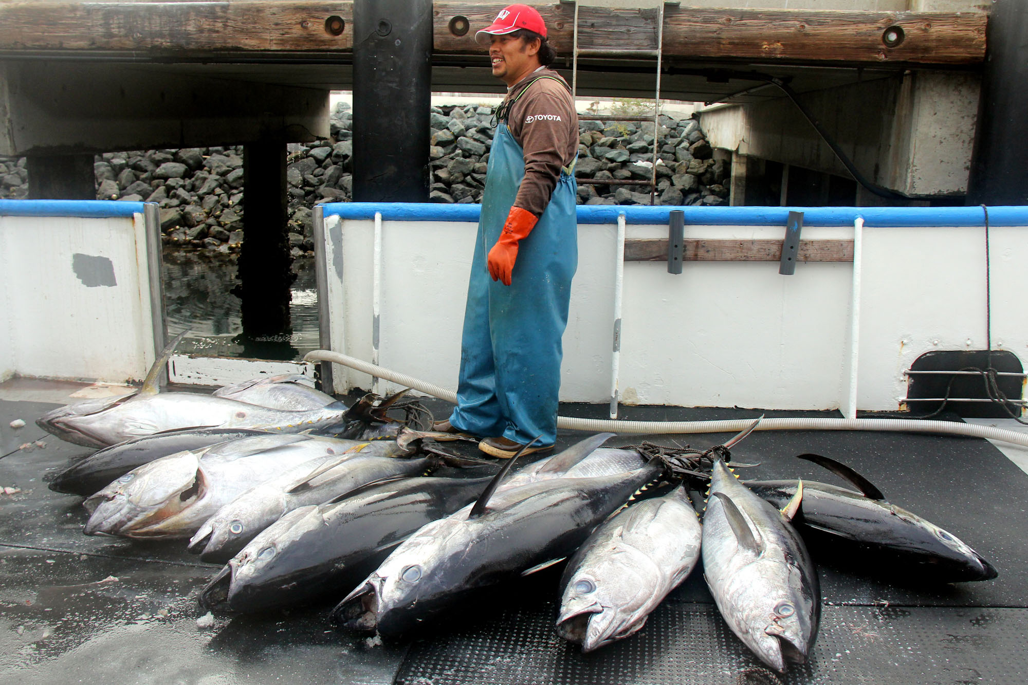 A man stands on a boat deck surrounded by tuna.