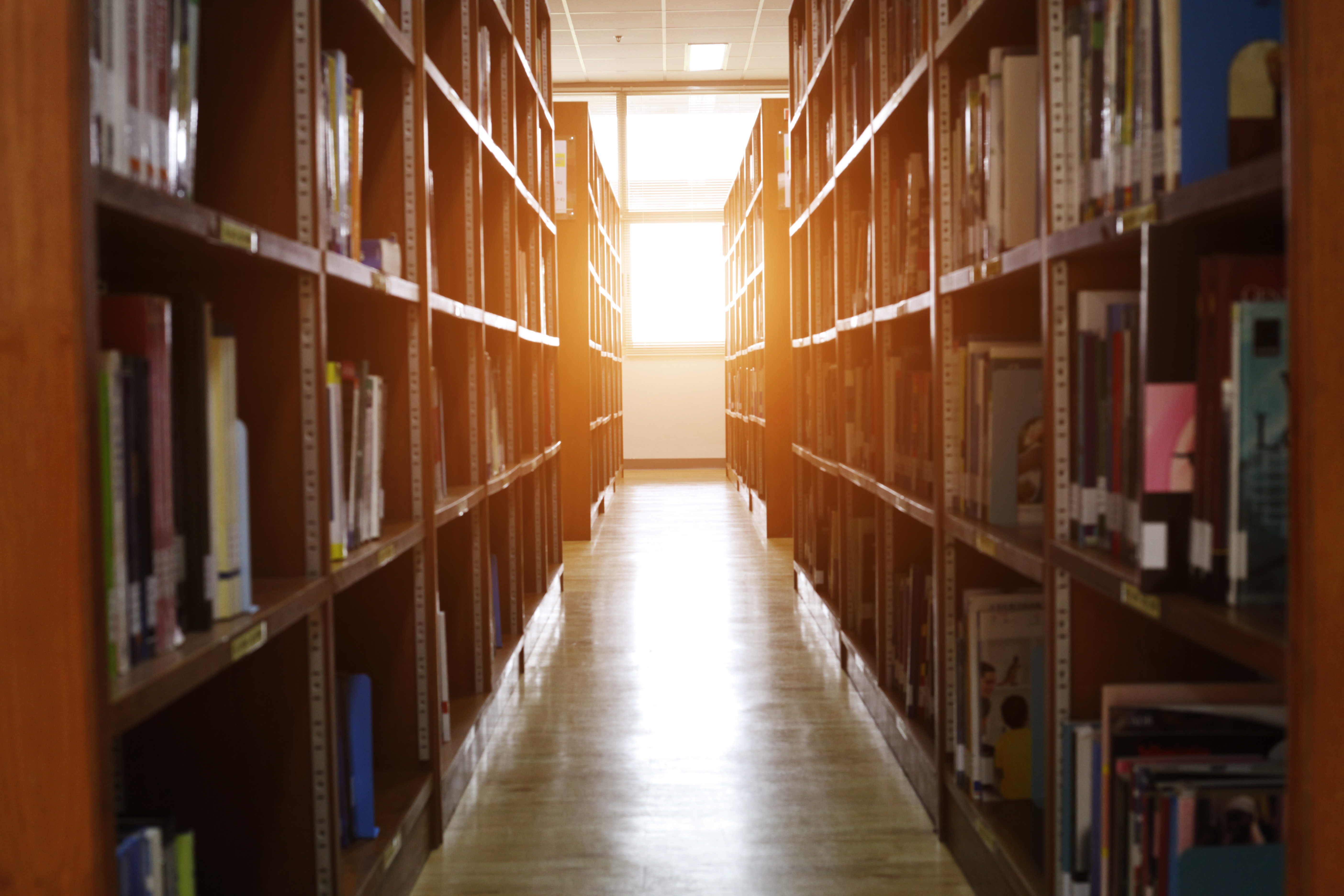 stock image: row in library