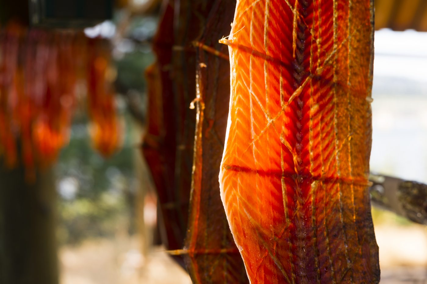 A strip of salmon drying on a rack