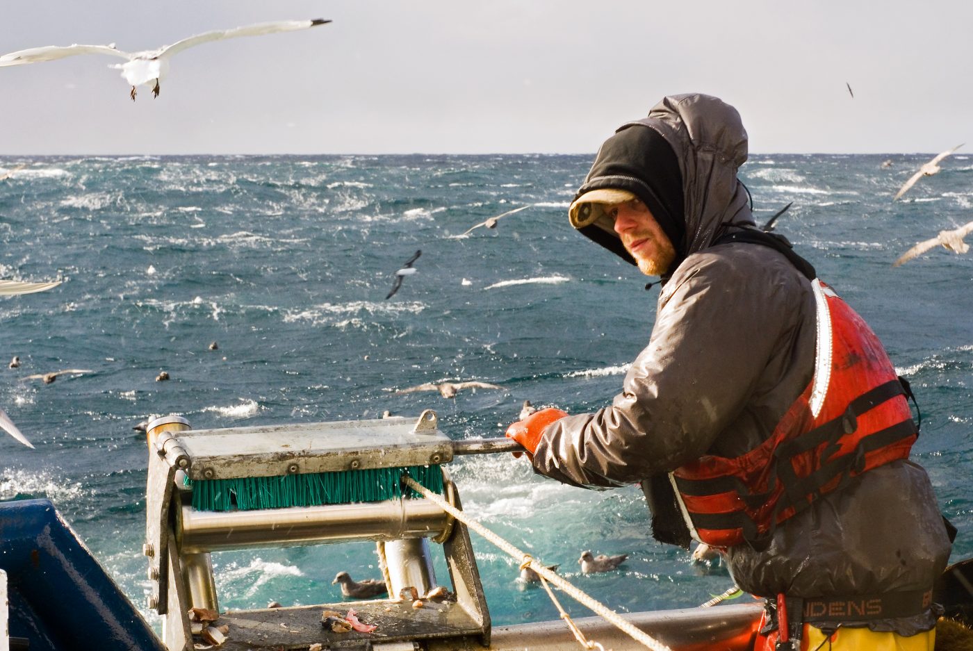 A commercial fisherman fishing for sablefish.