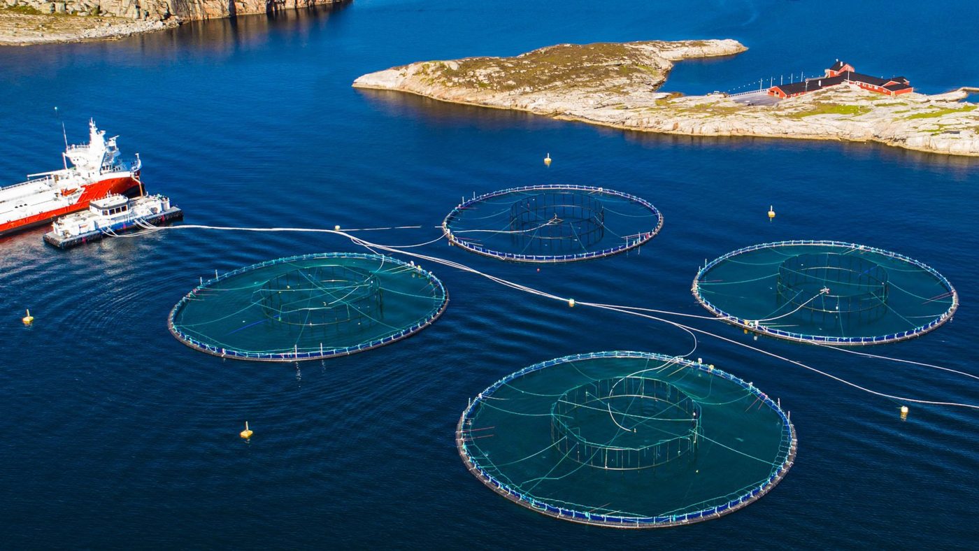 Four circular floating nets used for aquaculture in the ocean