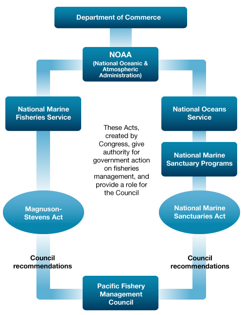 Flow chart showing marine protected area designation process