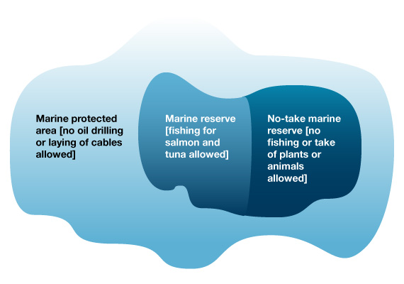 Diagram showing the difference between marine protected areas and other types of protected area