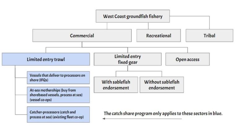 A flow chart showing the sectors of the trawl fishery.